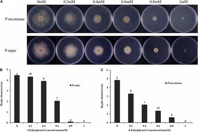 4-Ethylphenol, A Volatile Organic Compound Produced by Disease-Resistant Soybean, Is a Potential Botanical Agrochemical Against Oomycetes